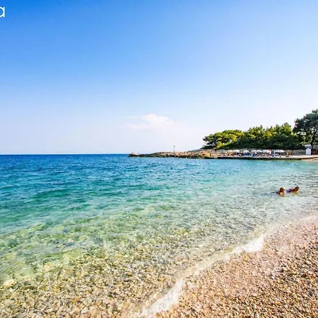 Dina's Flowers - Alonnisos Summer Havens *