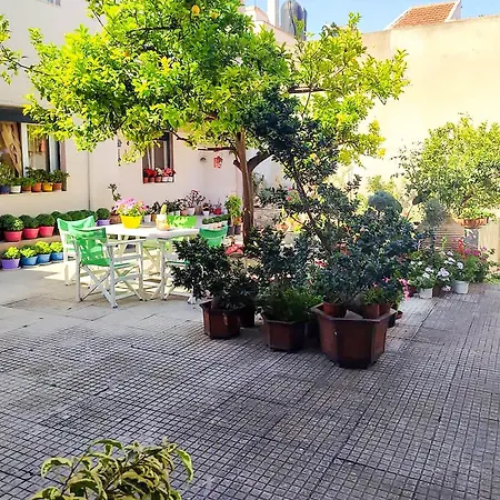 Dina's Flowers - Alonnisos Summer Havens