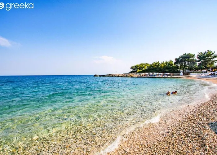 Dina's Flowers - Alonnisos Summer Havens *